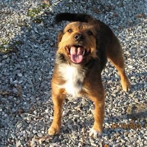 Meet your Posher, Timothy